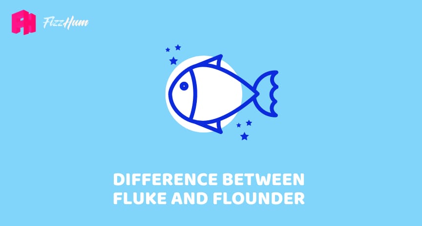 Difference between Fluke and Flounder